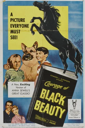 Постер: Courage of Black Beauty