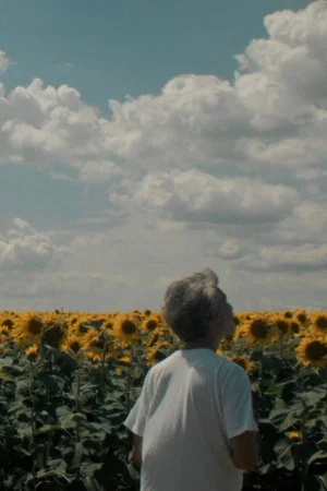 Постер: Without
