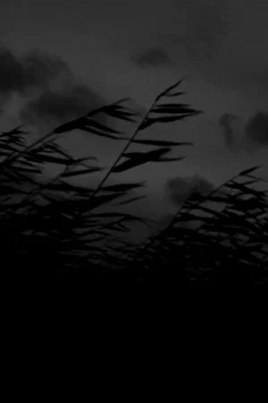 Постер: That Which Will Rise from Wind