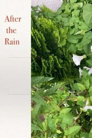 Постер: After the Rain