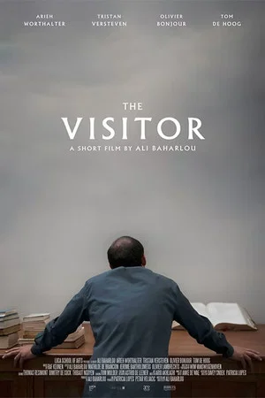 Постер: The Visitor