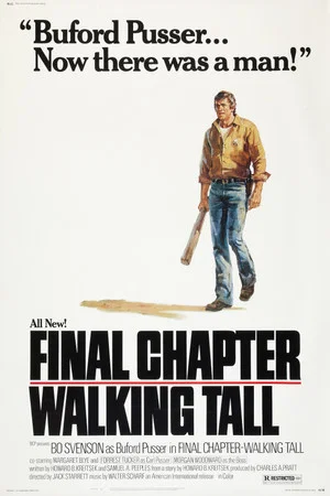 Постер: Final Chapter: Walking Tall