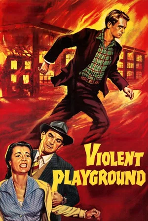 Постер: Violent Playground