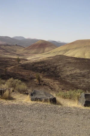 Постер: Layers of Life: Stories of Ancient Oregon