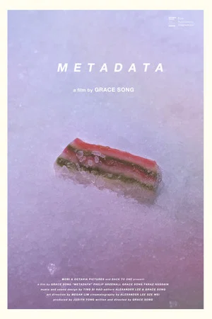 Постер: Metadata