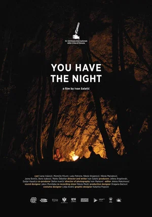 Постер: You Have the Night