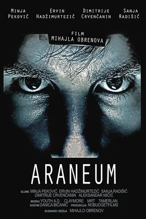 Постер: Araneum
