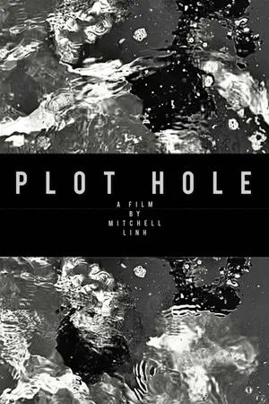 Постер: Plot Hole