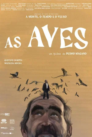 Постер: As Aves