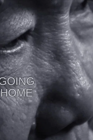 Постер: Going Home