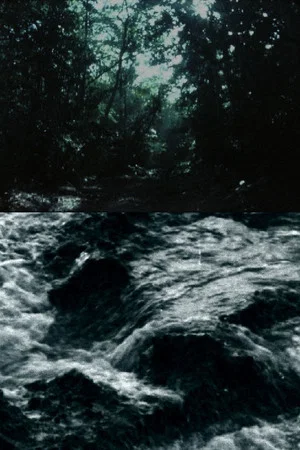Постер: Ceiba