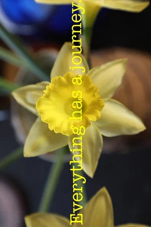 Постер: The Path of the Daff