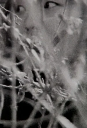 Постер: Visible Cinema