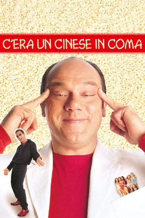 Постер: C'era un cinese in coma
