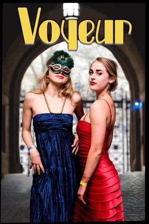 Постер: Voyeur
