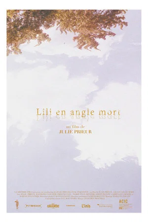 Постер: Lili's Blind Spot