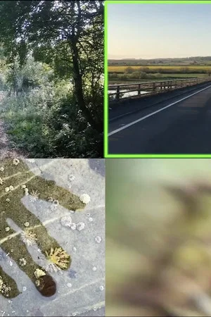 Постер: Everyday Apocalypse