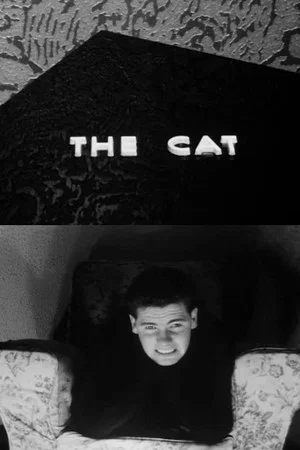 Постер: The Cat
