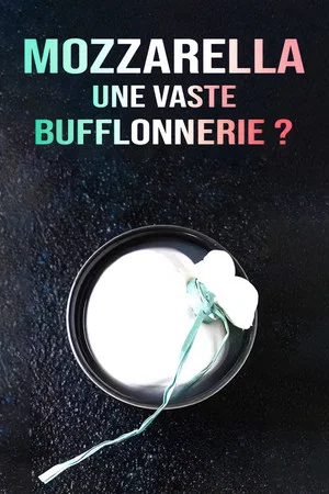 Постер: Mozzarella, une vaste bufflonnerie ?