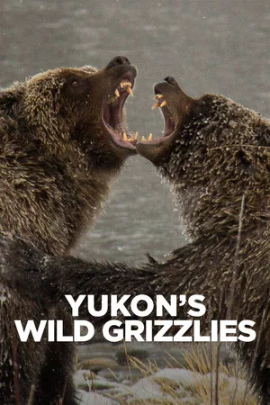 Постер: Yukon's Wild Grizzlies