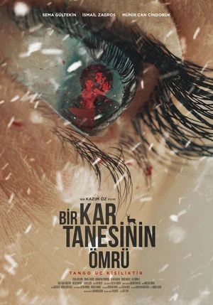 Постер: Bir Kar Tanesinin Ömrü