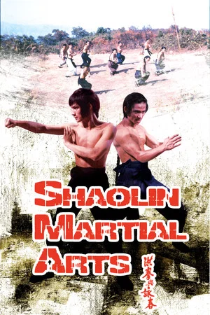 Постер: Shaolin Martial Arts
