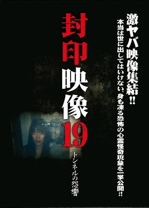 Постер: Sealed Video 19: Tunnel Grudge