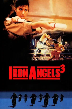 Постер: Iron Angels 3