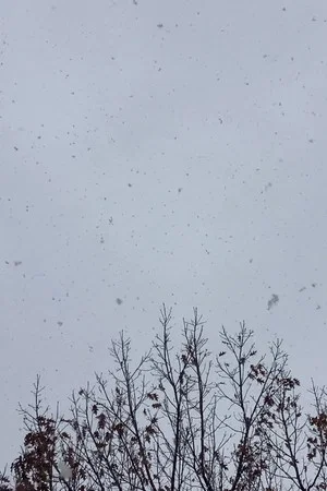 Постер: a sudden change in seasons