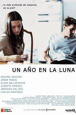 Постер: Un año en la luna