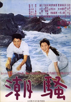 Постер: The Sound of Waves