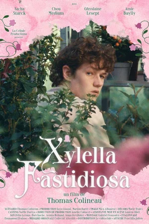 Постер: Xylella Fastidiosa