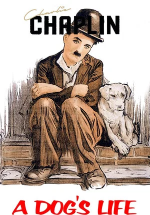 Постер: Собачья жизнь