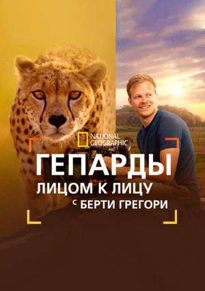 Постер: Гепарды: лицом к лицу с Берти Грегори