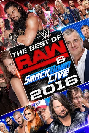 Постер: WWE Best of Raw & SmackDown Live 2016