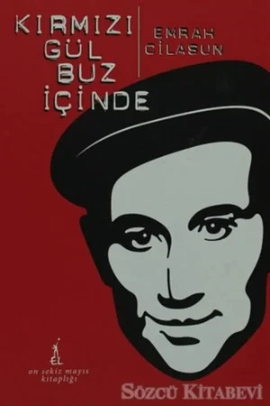Постер: Kırmızı Gül Buz İçinde