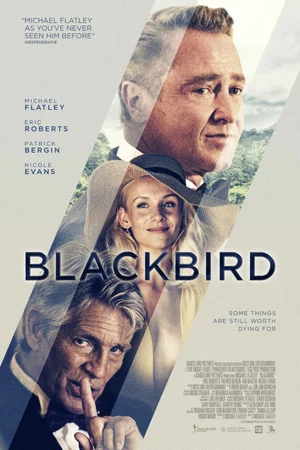 Постер: Blackbird