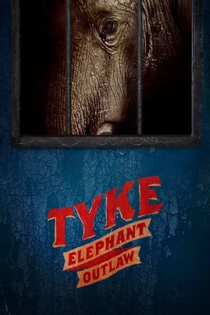 Постер: Tyke Elephant Outlaw