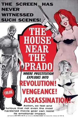 Постер: The House Near the Prado
