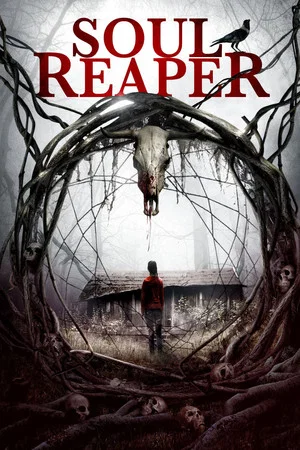 Постер: Soul Reaper