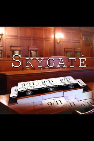 Постер: Skygate 911