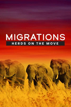 Постер: Migrations: Herds on the Move