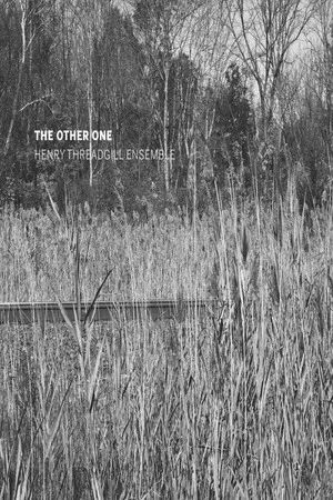 Постер: The Other One