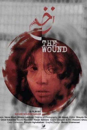 Постер: The Wound