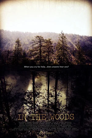 Постер: In the Woods