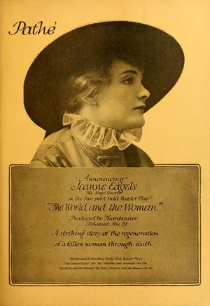 Постер: The World and the Woman