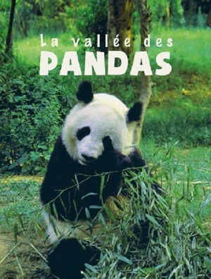 Постер: The Valley of the Pandas