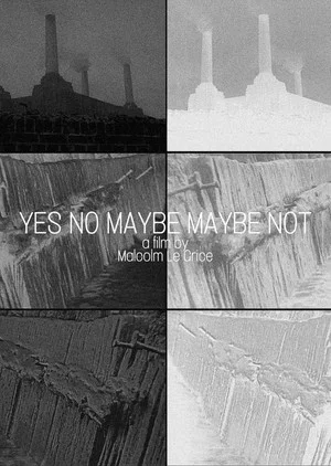 Постер: Yes No Maybe Maybe Not