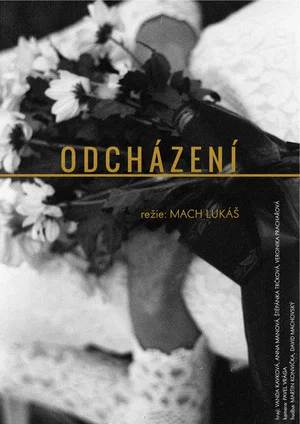Постер: Odcházení