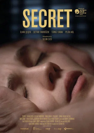 Постер: Secret